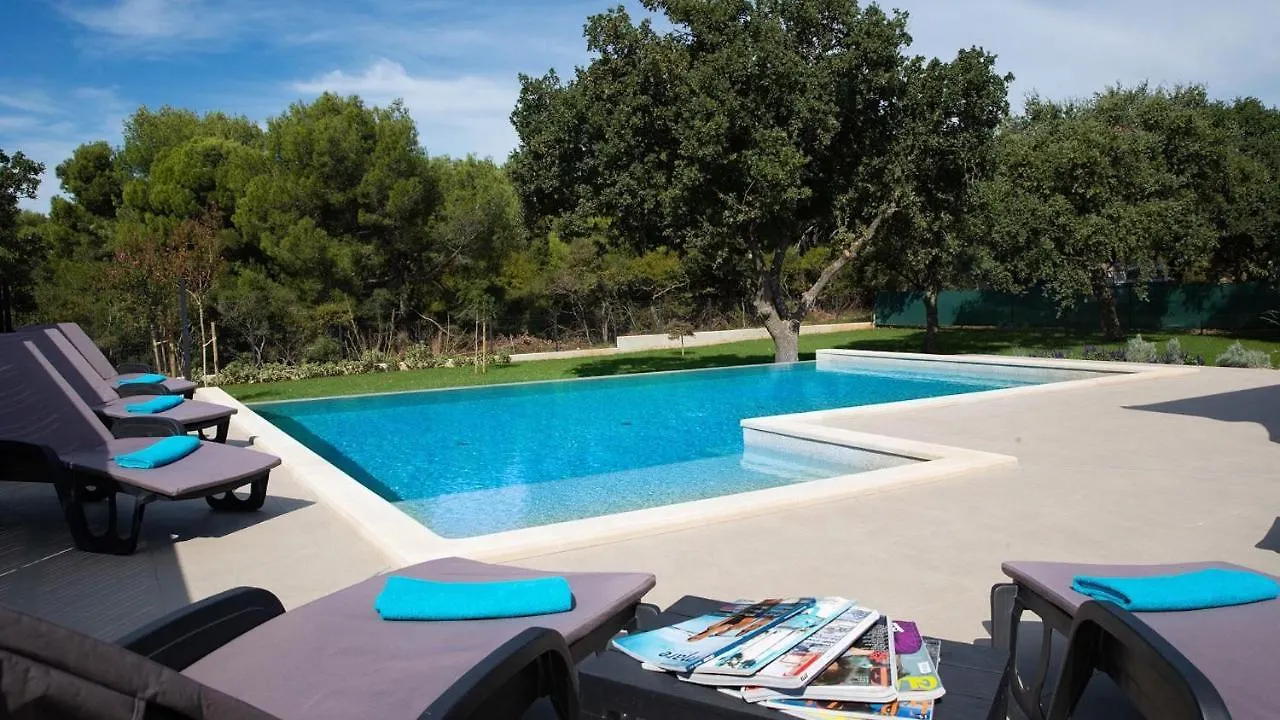 Charming Villa Monte Uliveto With Private Pool In Pula