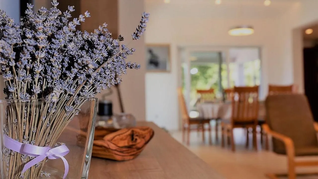 Charming Villa Monte Uliveto With Private Pool In Pula